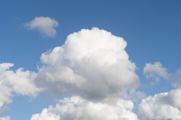 Obraz premium Fluffy white clouds, against a bright blue sky, with little editing.