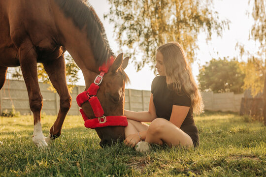 Girl sitting on grass with horse at farm