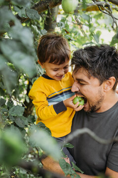 Boy feeding apple to father near tree in garden