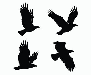 Obraz premium Bald eagle silhouette EPS vector isolated illustration and icon template on a white background