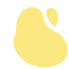 Blank boho shape templates card. vector illustrator