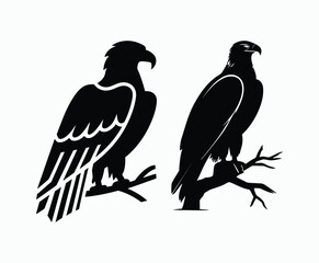 Bald eagle silhouette EPS vector isolated illustration and icon template on a white background
