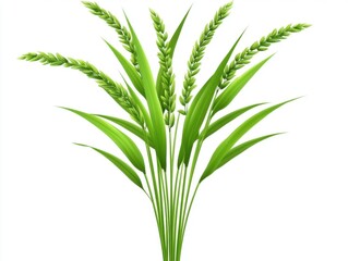 Fototapeta premium Wheat plant with green leaves and ripe ears on a white isolate background.