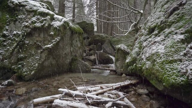 Snow Falling On The River With Mossy Rocks And Tree Trunks In Blatten bei Naters, Switzerland. - static shot