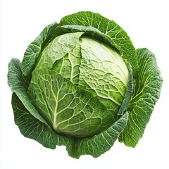 Vibrant green cabbage with detailed leaves, isolated on a clean white background, perfect for healthy food concepts.