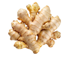 Fresh ginger root isolated on white background