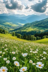 Green pasture with daisies and mountains in the background.