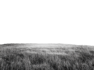 Black and white landscape of a grassy field under a serene sky.
