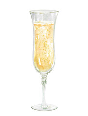 Tall glass goblet with champagne. Hand drawn watercolor illustration isolated on white