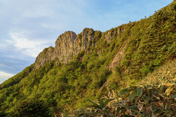 早朝の石鎚山頂上