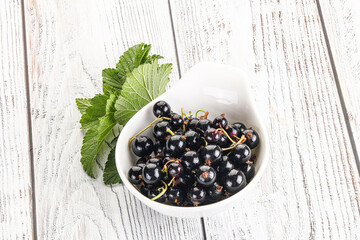 Juicy black currant berries in the bowl