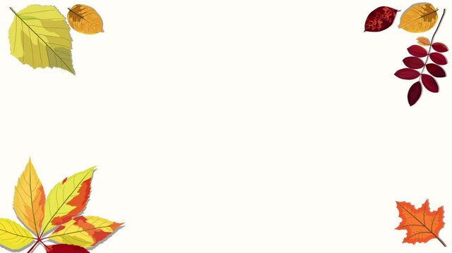 animated motion vector illustration of leaves with autumn concept. Animation of the beauty of leaves dancing gracefully in autumn. The beauty of falling maple leaves