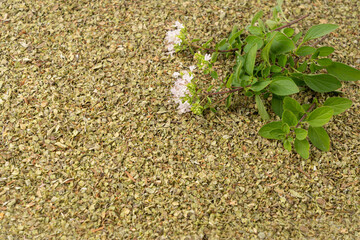 Dry thyme texture, dried marjoram pattern, oregano pile background, ground crushed thyme seasoning mockup