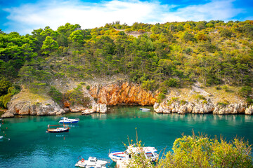 Bay with turquoise water, near a rocky coast with a coniferous forest in the Adriatic Sea, Vrbnik town, Croatia  © TatiG