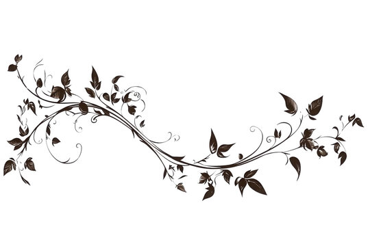 brown leaves and vines on white background clip art preview