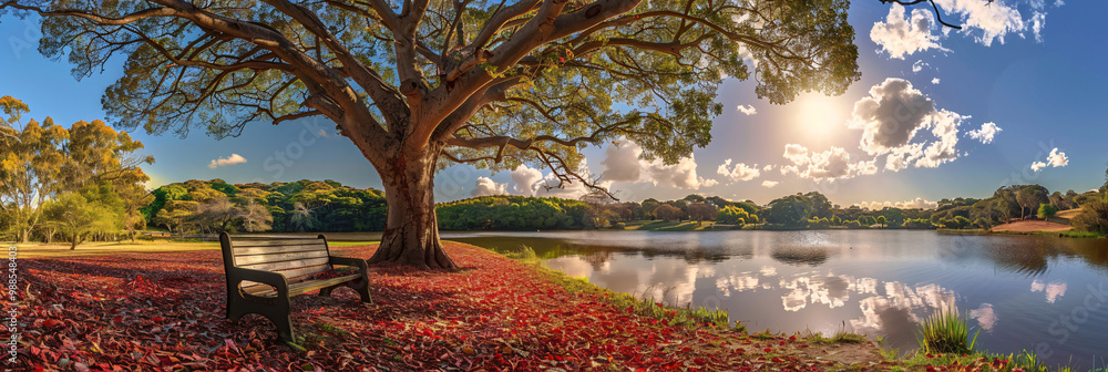 Poster quiet park with a carpet of fallen leaves on the left and a small pond on the right and a solitary b