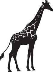 silhouette of clean vector of giraffe isolated