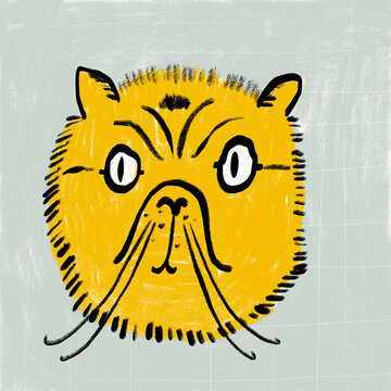 Expressive hand-drawn cat illustration