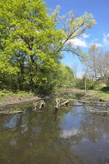 Rodau bei Laemmerspiel