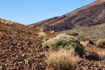 Teneriffa Reise. Auf dem Weg zum Teide © Jane Be. The Picture
