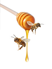 Wooden honey dipper and flying bees with dripping honey on a white background