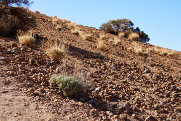 Teneriffa Reise. Auf dem Weg zum Teide