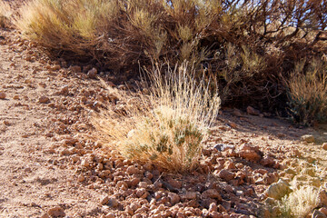 Strukturen in einer Vulkanlandschaft