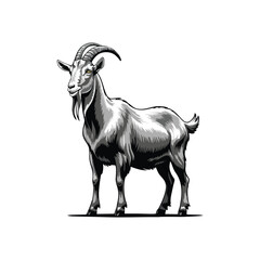 goat vector illustration logo concept design