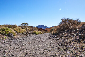 Fototapeta premium Teneriffa Reise. Auf dem Weg zum Teide