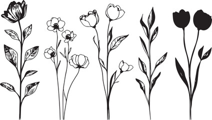 Set Flowers. Hand drawn vector illustration