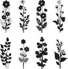 Set Flowers. Hand drawn vector illustration