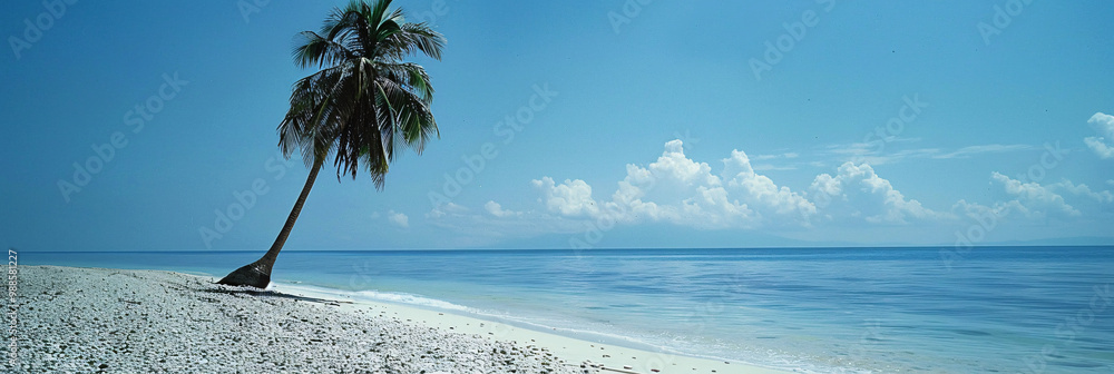 Poster tranquil beach with soft white sand on the left and pebbles on the right and a single palm tree lean