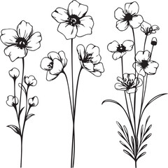 Set Flowers. Hand drawn vector illustration