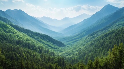 Fototapeta premium Mountain peaks towering above a dense forest, with a serene valley in between, offering a stunning natural vista.