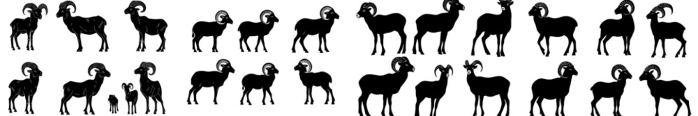 A silhouette set of a male ram ibex sheep in eps 10 with a transparent background