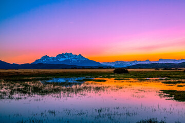 Fototapeta premium Chile's Torres del Paine National Orchard - Nature and Wildlife