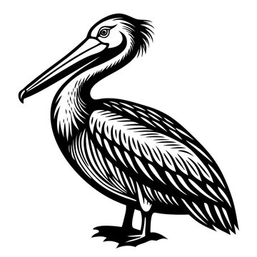 recommend clip art: vector black silhouette design of a pelican 