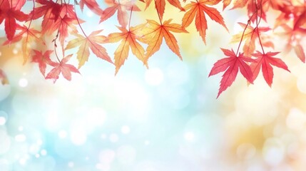 Fototapeta premium Autumn leaves bokeh background