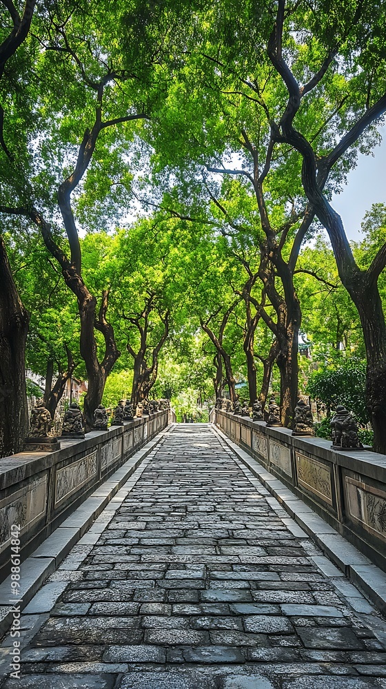 Poster Stone Pathway Leading Up Through a Canopy of Trees