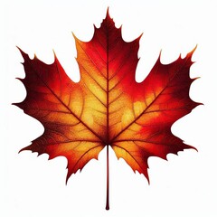 Obraz premium brown black maple leaves in vibrant autumn colors isolated on a white background showcasing the beauty of nature and the fall season