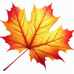 Obraz premium bright brown maple leaves in vibrant autumn colors isolated on a white background showcasing the beauty of nature and the fall season
