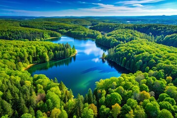 Stunning aerial shot of a lush green forest canopy surrounding a peaceful blue lake, illuminated by the clear