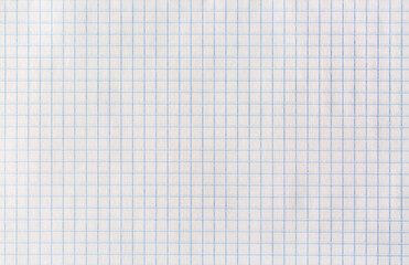 Close up of white sheet from a notebook in a cage. School concept.