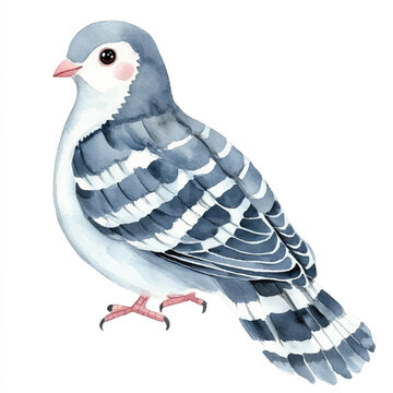 recommend clip art: Dove watercolor clipart illustration isolated