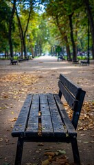 A lone bench sits in a park, inviting you to relax and enjoy the autumn foliage.