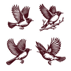 American Robin Bird Silhouettes
American robin vector silhouette illustration, wild bird animal element on white background
vector art black silhouette American robin bird illustration