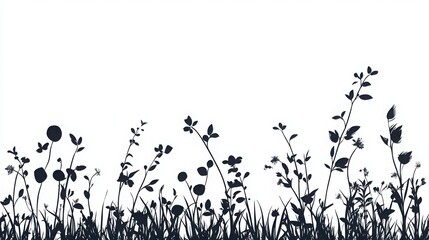 Silhouetted flowers grass against white isolated background.