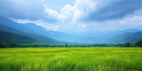 Fototapeta premium Green Grass Field Landscape with Mountain Range in the Background
