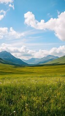 Green Grass Field with Mountains and Clouds in the Background