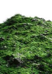 Fototapeta premium Green Mossy Hill with Rocks Background